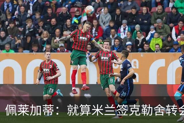 佩莱加蒂：就算米兰签克勒舍转会也是卡尔迪纳莱和阿莫林拍板