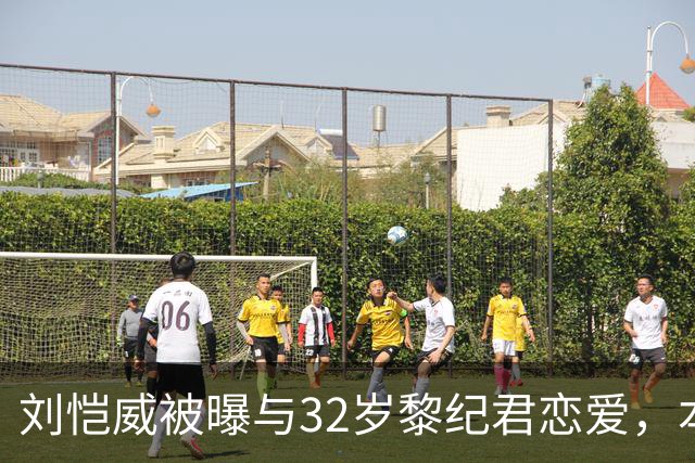 刘恺威被曝与32岁黎纪君恋爱，本人回应：很合得来