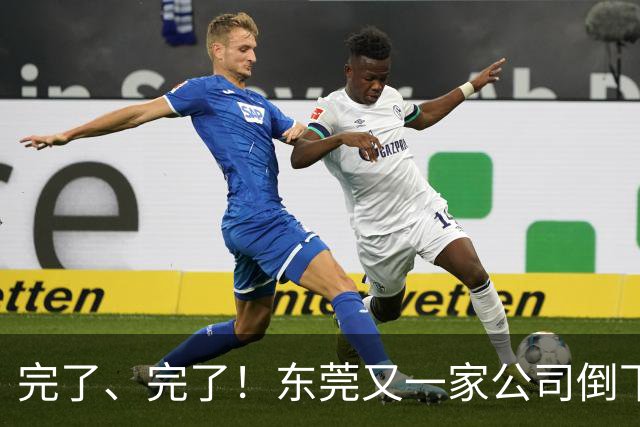 完了、完了！东莞又一家公司倒下了，失业了又能怎么办？