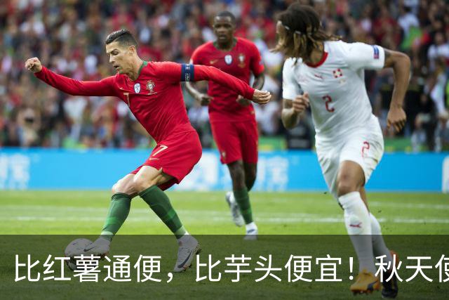 比红薯通便，比芋头便宜！秋天使劲吃，一降火、二润肺、三强筋骨