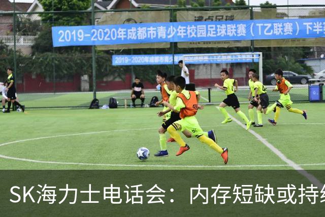SK海力士电话会：内存短缺或持续至2030年，DRAM明年需求增幅预计超20%，将推进约100万亿韩元股东回报